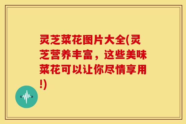 灵芝菜花图片大全(灵芝营养丰富，这些美味菜花可以让你尽情享用!)