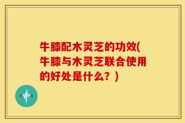 牛膝配木灵芝的功效(牛膝与木灵芝联合使用的好处是什么？)