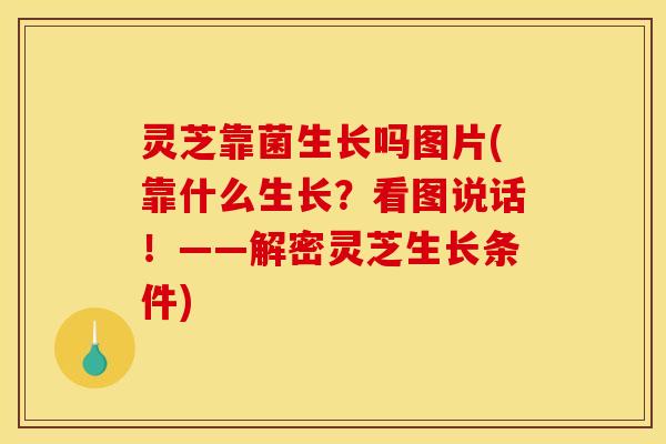 灵芝靠菌生长吗图片(靠什么生长？看图说话！——解密灵芝生长条件)