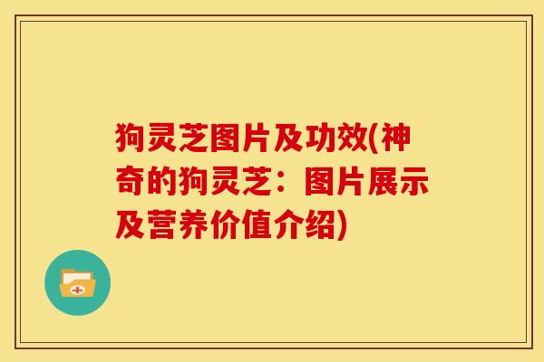 狗灵芝图片及功效(神奇的狗灵芝：图片展示及营养价值介绍)