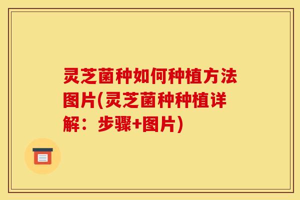 灵芝菌种如何种植方法图片(灵芝菌种种植详解：步骤+图片)