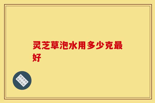灵芝草泡水用多少克最好