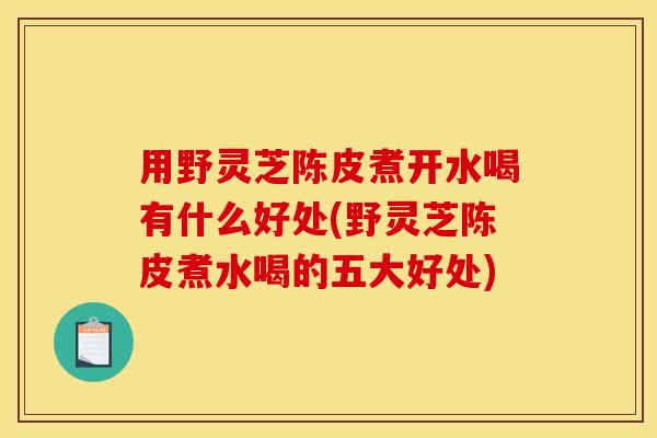 用野灵芝陈皮煮开水喝有什么好处(野灵芝陈皮煮水喝的五大好处)