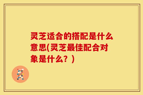 灵芝适合的搭配是什么意思(灵芝最佳配合对象是什么?)