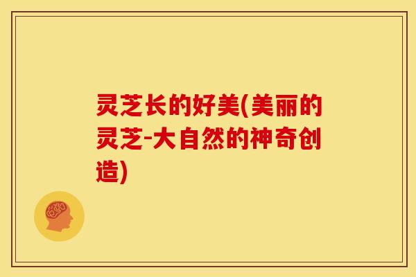 灵芝长的好美(美丽的灵芝-大自然的神奇创造)