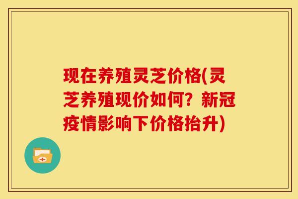现在养殖灵芝价格(灵芝养殖现价如何?新冠疫情影响下价格抬升)