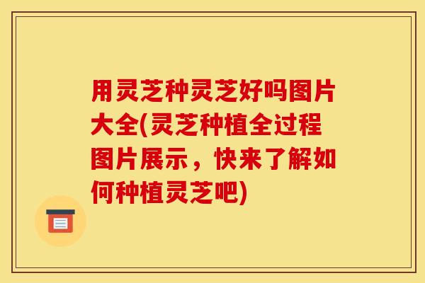 用灵芝种灵芝好吗图片大全(灵芝种植全过程图片展示,快来了解如何种植灵芝吧)