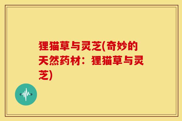狸猫草与灵芝(奇妙的天然药材:狸猫草与灵芝)