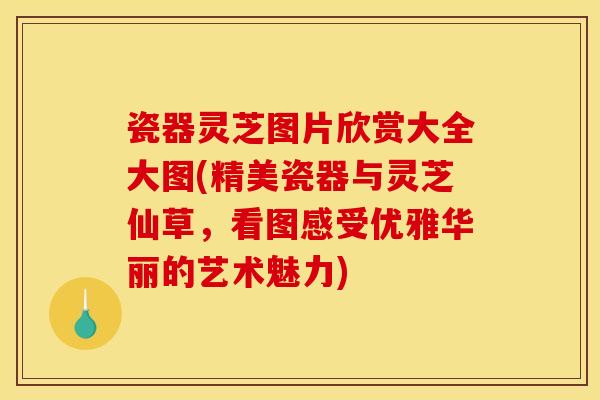 瓷器灵芝图片欣赏大全大图(精美瓷器与灵芝仙草，看图感受优雅华丽的艺术魅力)