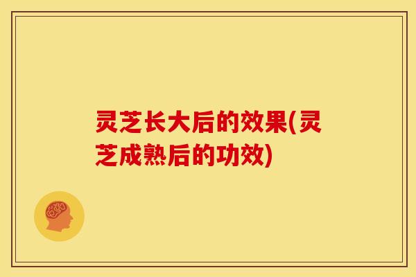 灵芝长大后的效果(灵芝成熟后的功效)