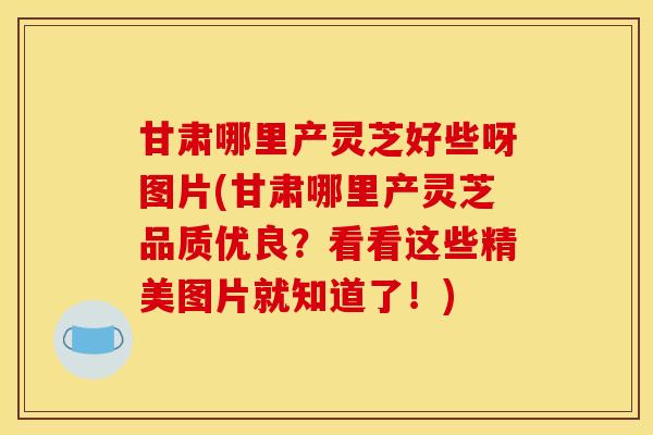 甘肃哪里产灵芝好些呀图片(甘肃哪里产灵芝品质优良?看看这些精美图片就知道了!)