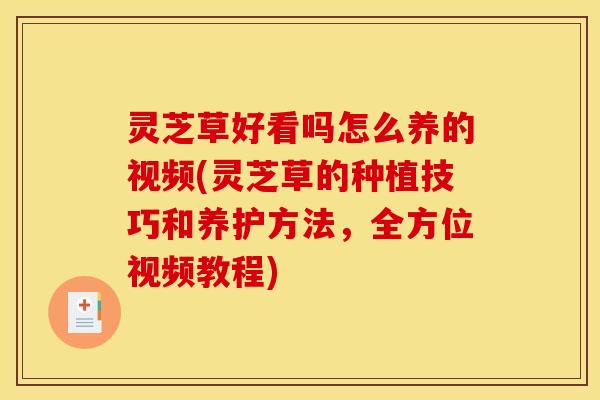 灵芝草好看吗怎么养的视频(灵芝草的种植技巧和养护方法，全方位视频教程)