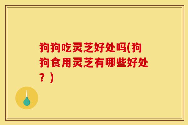 狗狗吃灵芝好处吗(狗狗食用灵芝有哪些好处?)