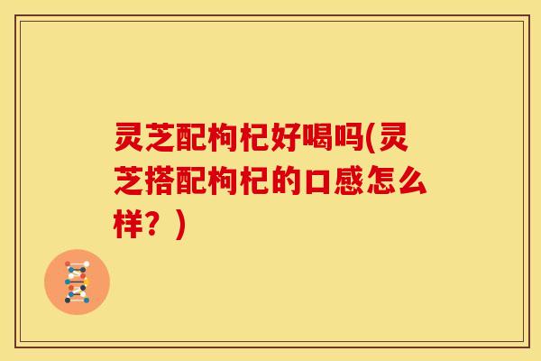 灵芝配枸杞好喝吗(灵芝搭配枸杞的口感怎么样?)