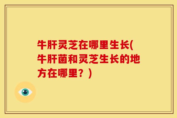 牛肝灵芝在哪里生长(牛肝菌和灵芝生长的地方在哪里？)