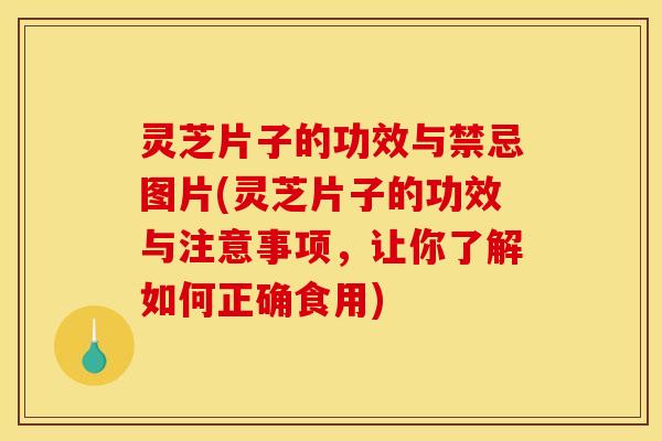 灵芝片子的功效与禁忌图片(灵芝片子的功效与注意事项,让你了解如何正确食用)