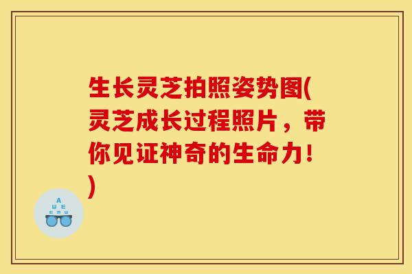 生长灵芝拍照姿势图(灵芝成长过程照片，带你见证神奇的生命力！)