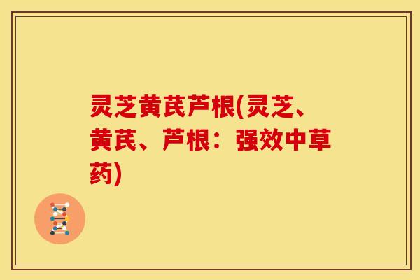 灵芝黄芪芦根(灵芝、黄芪、芦根：强效中草药)