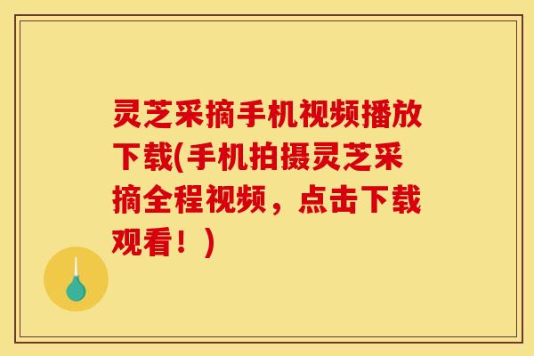 灵芝采摘手机视频播放下载(手机拍摄灵芝采摘全程视频,点击下载观看!)