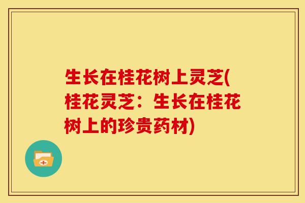 生长在桂花树上灵芝(桂花灵芝:生长在桂花树上的珍贵药材)