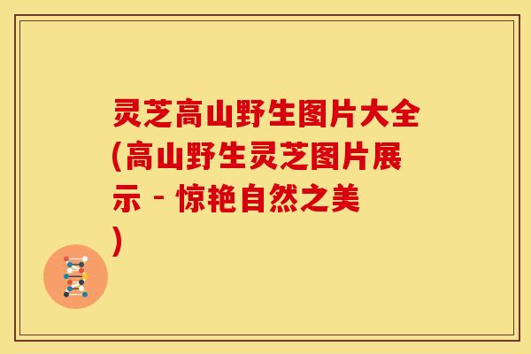 灵芝高山野生图片大全(高山野生灵芝图片展示 - 惊艳自然之美)