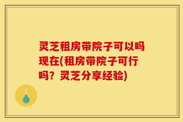 灵芝租房带院子可以吗现在(租房带院子可行吗?灵芝分享经验)