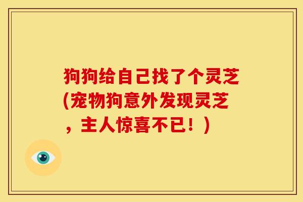狗狗给自己找了个灵芝(宠物狗意外发现灵芝,主人惊喜不已!)