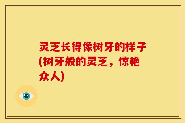 灵芝长得像树牙的样子(树牙般的灵芝,惊艳众人)