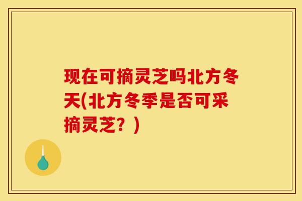 现在可摘灵芝吗北方冬天(北方冬季是否可采摘灵芝?)