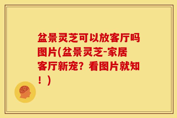 盆景灵芝可以放客厅吗图片(盆景灵芝-家居客厅新宠?看图片就知!)