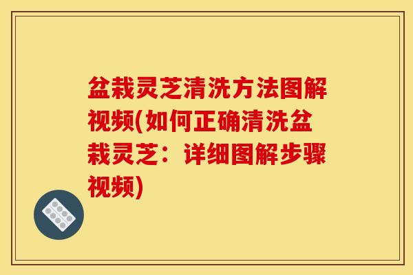 盆栽灵芝清洗方法图解视频(如何正确清洗盆栽灵芝:详细图解步骤视频)