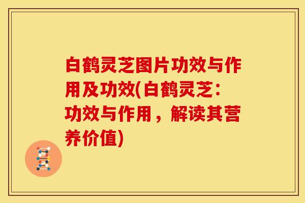 白鹤灵芝图片功效与作用及功效(白鹤灵芝:功效与作用,解读其营养价值)