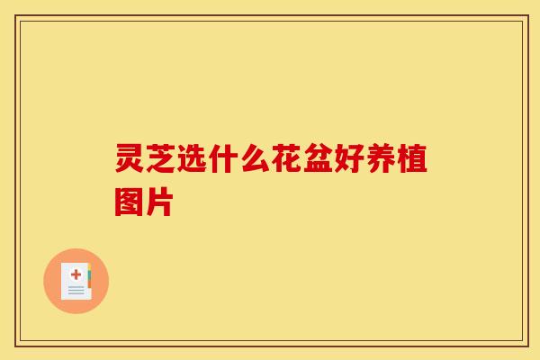 灵芝选什么花盆好养植图片