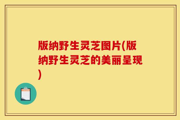 版纳野生灵芝图片(版纳野生灵芝的美丽呈现)