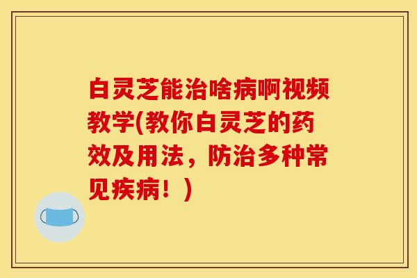 白灵芝能治啥病啊视频教学(教你白灵芝的药效及用法,防治多种常见疾病!)