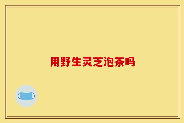 用野生灵芝泡茶吗