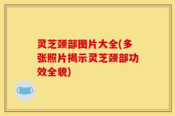 灵芝颈部图片大全(多张照片揭示灵芝颈部功效全貌)