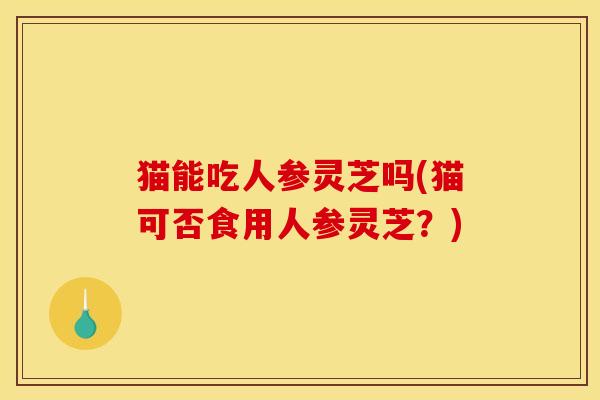 猫能吃人参灵芝吗(猫可否食用人参灵芝？)