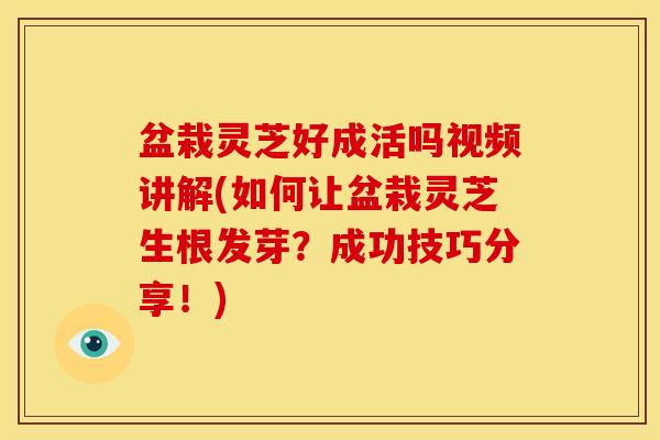 盆栽灵芝好成活吗视频讲解(如何让盆栽灵芝生根发芽？成功技巧分享！)