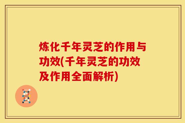 炼化千年灵芝的作用与功效(千年灵芝的功效及作用全面解析)