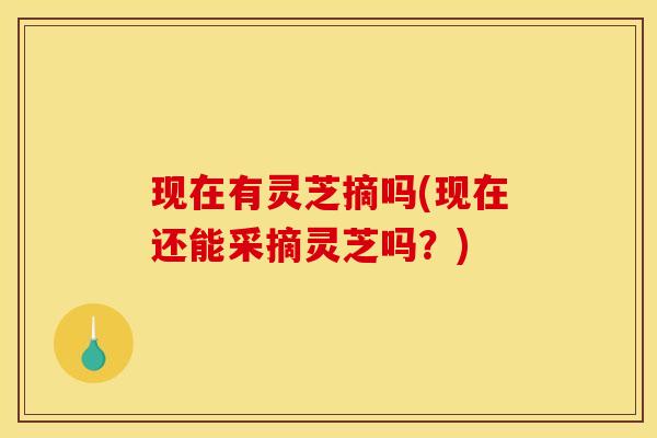 现在有灵芝摘吗(现在还能采摘灵芝吗？)