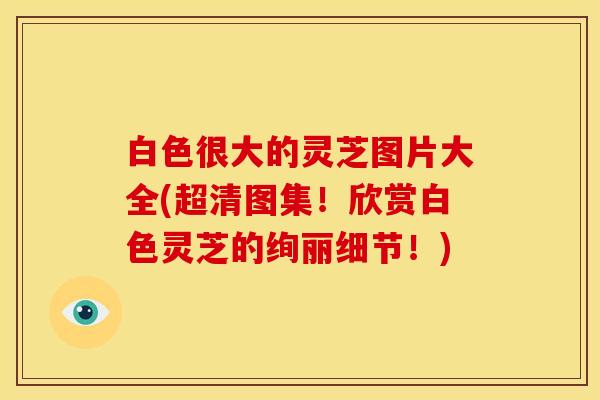 白色很大的灵芝图片大全(超清图集！欣赏白色灵芝的绚丽细节！)