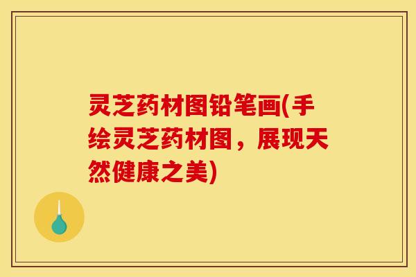 灵芝药材图铅笔画(手绘灵芝药材图，展现天然健康之美)