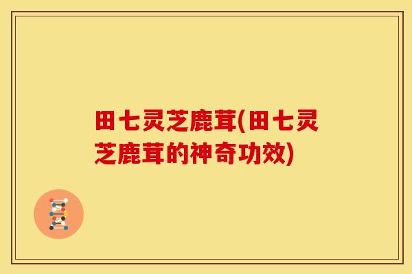 田七灵芝鹿茸(田七灵芝鹿茸的神奇功效)