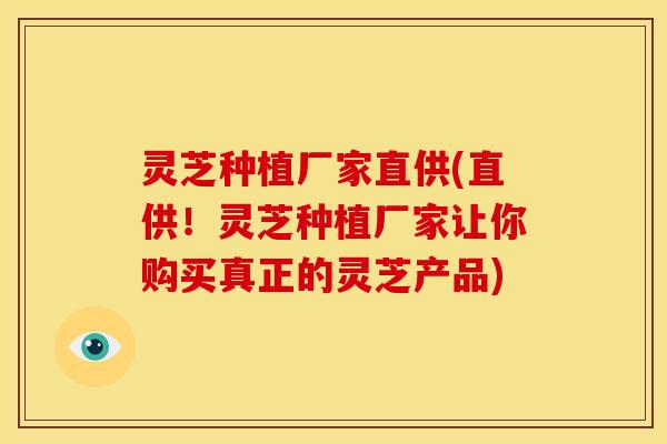 灵芝种植厂家直供(直供!灵芝种植厂家让你购买真正的灵芝产品)