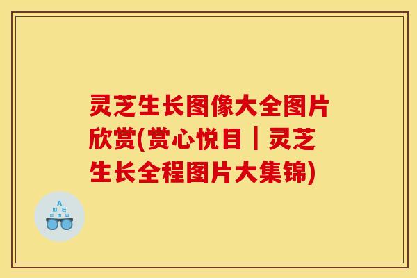 灵芝生长图像大全图片欣赏(赏心悦目｜灵芝生长全程图片大集锦)