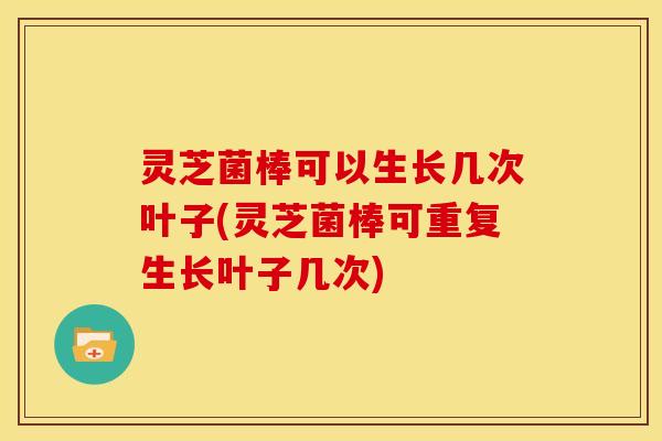 灵芝菌棒可以生长几次叶子(灵芝菌棒可重复生长叶子几次)