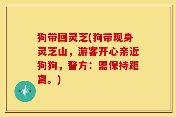 狗带回灵芝(狗带现身灵芝山,游客开心亲近狗狗,警方:需保持距离。)