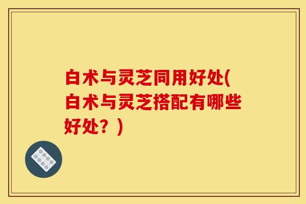白术与灵芝同用好处(白术与灵芝搭配有哪些好处?)