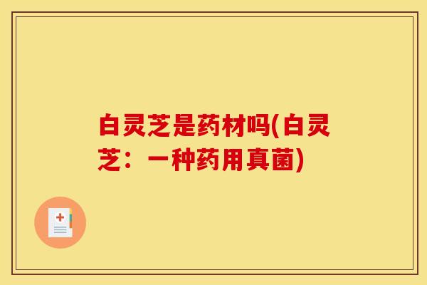 白灵芝是药材吗(白灵芝：一种药用真菌)